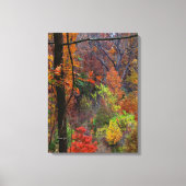 Herfst Landschap Verpakt Canvas (Voorkant)