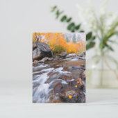 Herfst langs Bishop Creek, CA Briefkaart (Staand voorkant)