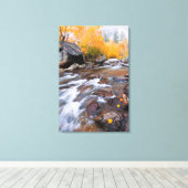 Herfst langs Bishop Creek, CA Canvas Afdruk (Insitu (Houten vloer))