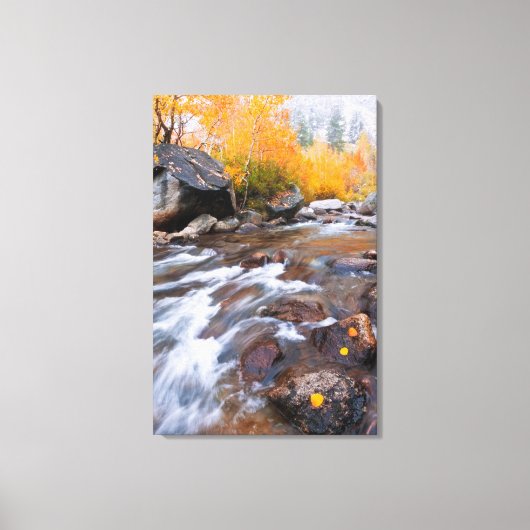 Herfst langs Bishop Creek, CA Canvas Afdruk (Voorkant)