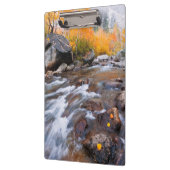 Herfst langs Bishop Creek, CA Klembord (Links)