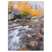 Herfst langs Bishop Creek, CA Klembord (Achterkant)