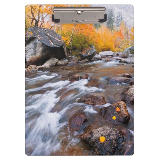 Herfst langs Bishop Creek, CA Klembord (Voorkant)