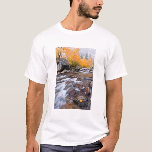 Herfst langs Bishop Creek, CA T-shirt (Voorkant)