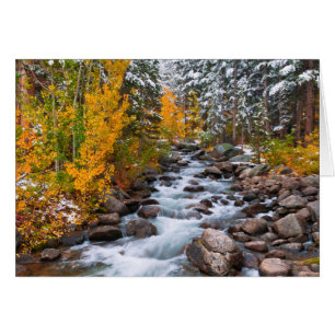 Herfst langs Bishop creek, Californië