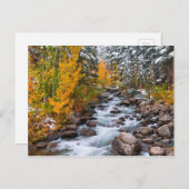 Herfst langs Bishop creek, Californië Briefkaart (Voorkant / Achterkant)