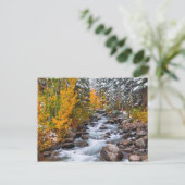 Herfst langs Bishop creek, Californië Briefkaart (Staand voorkant)