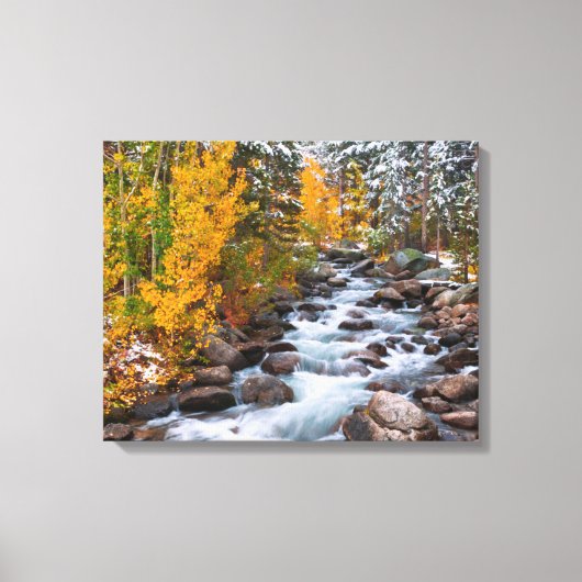 Herfst langs Bishop Creek, Californië Canvas Afdruk (Voorkant)