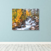 Herfst langs Bishop Creek, Californië Canvas Afdruk (Insitu (Houten vloer))