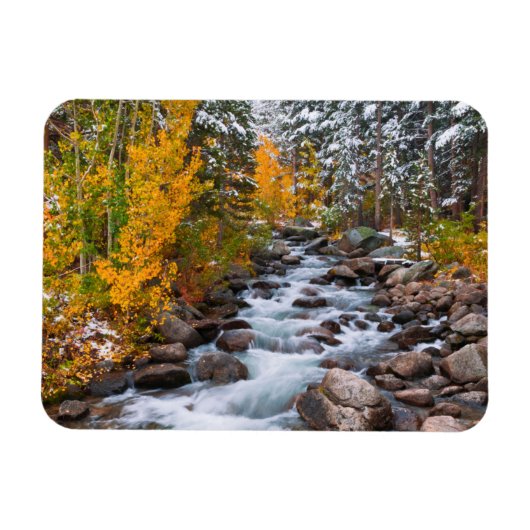 Herfst langs Bishop Creek, Californië Magneet (Horizontaal)