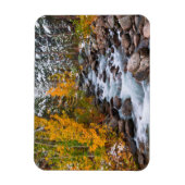 Herfst langs Bishop Creek, Californië Magneet (Verticaal)