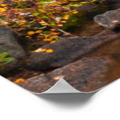 Herfst langs Bishop creek, Californië Poster (Hoek)