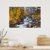 Herfst langs Bishop creek, Californië Poster (Keuken)