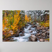 Herfst langs Bishop creek, Californië Poster (Voorkant)