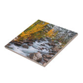 Herfst langs Bishop creek, Californië Tegeltje (Zijkant)