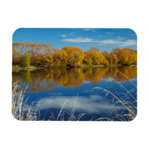 Herfst langs de Clutha-rivier Magneet