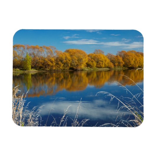 Herfst langs de Clutha-rivier Magneet (Horizontaal)