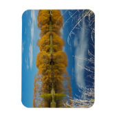 Herfst langs de Clutha-rivier Magneet (Verticaal)