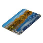 Herfst langs de Clutha-rivier Magneet (Linkerzijde)