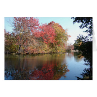 Herfst langs de Creek