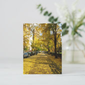 Herfst langs het Briefkaart Park (Staand voorkant)