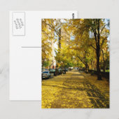 Herfst langs het Briefkaart Park (Voorkant / Achterkant)