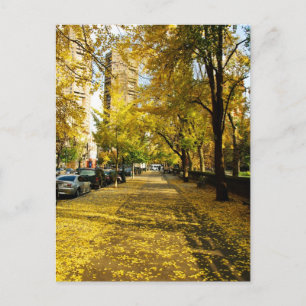 Herfst langs het Briefkaart Park