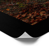 Herfst langs kronkelend pad poster (Hoek)