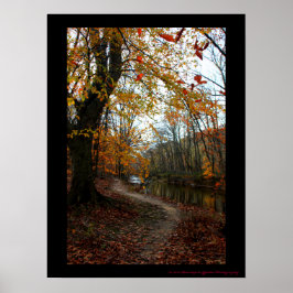 Herfst langs kronkelend pad poster