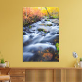Herfst langs Lundy Creek, Californië Canvas Afdruk (Insitu (Woonkamer))