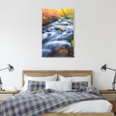 Herfst langs Lundy Creek, Californië Canvas Afdruk (Insitu (Slaapkamer))
