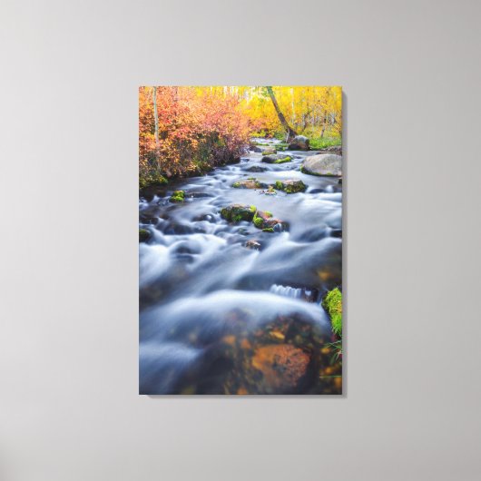 Herfst langs Lundy Creek, Californië Canvas Afdruk (Voorkant)