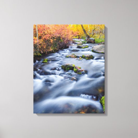 Herfst langs Lundy Creek, Californië Canvas Afdruk (Voorkant)