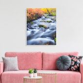 Herfst langs Lundy Creek, Californië Canvas Afdruk (Insitu (Woonkamer))