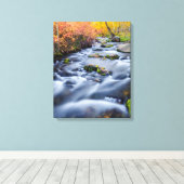 Herfst langs Lundy Creek, Californië Canvas Afdruk (Insitu (Houten vloer))
