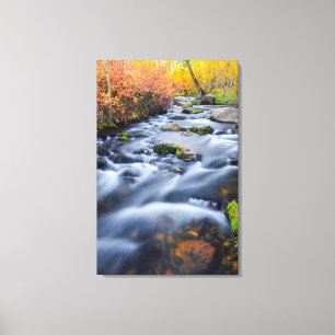 Herfst langs Lundy Creek, Californië Canvas Afdruk
