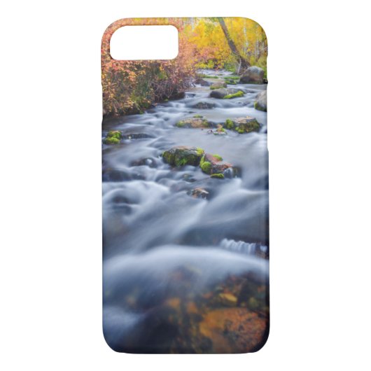 Herfst langs Lundy Creek, Californië Case-Mate iPhone Case (Achterkant)