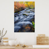 Herfst langs Lundy Creek, Californië Poster (Keuken)