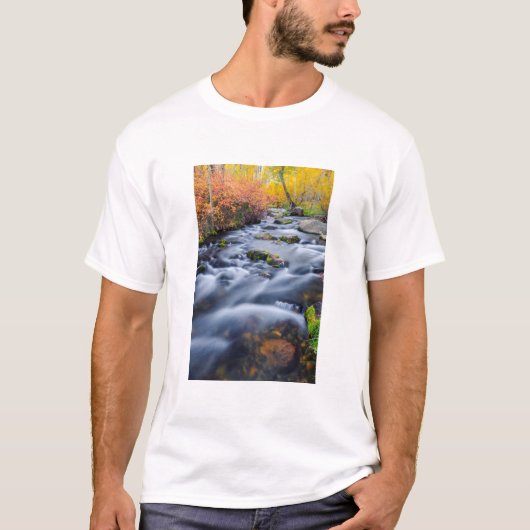 Herfst langs Lundy Creek, Californië T-shirt (Voorkant)