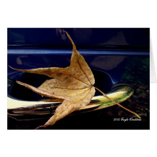 Herfst leaf