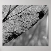 Herfst Leaf 2 - B&W Poster (Voorkant)