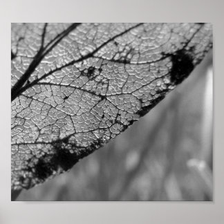Herfst Leaf 2 - B&W Poster