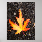 Herfst Leaf Bright versie van afbeelding. Restiq. Poster (Voorkant)