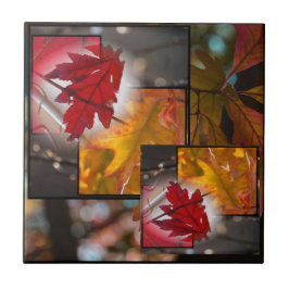 Herfst Leaf Collage Small Tile Tegeltje