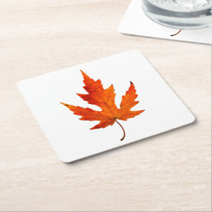 Herfst Leaf - Herfst Kleur - Onderzetter