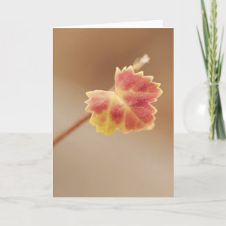 Herfst Leaf Kaart
