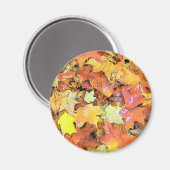 Herfst Leaf Magneet (Voorkant / Achterkant)