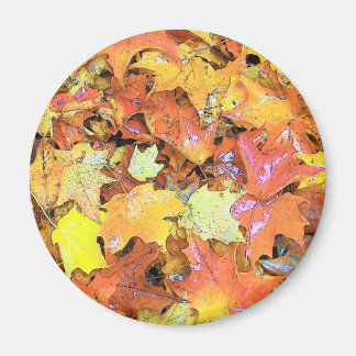 Herfst Leaf Magneet