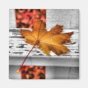 Herfst Leaf Magnet