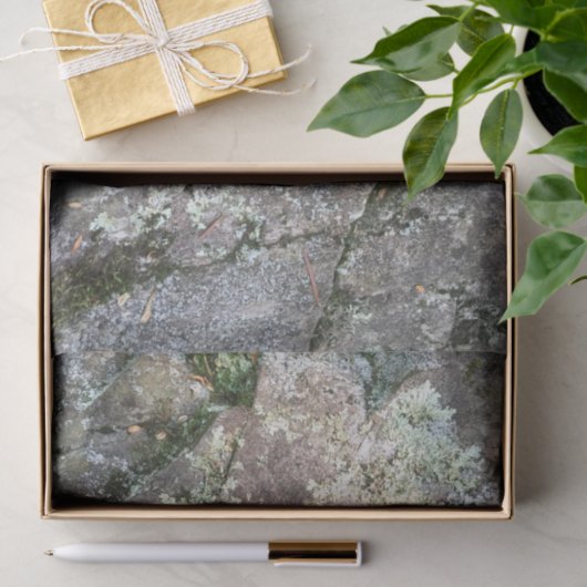 Herfst Leaf on Rock Tissuepapier (Geschenk)